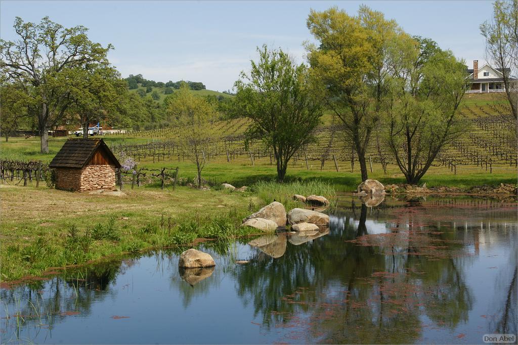 GoldCountry10-131-ShenandoahRdWineries-web.jpg - for personal use