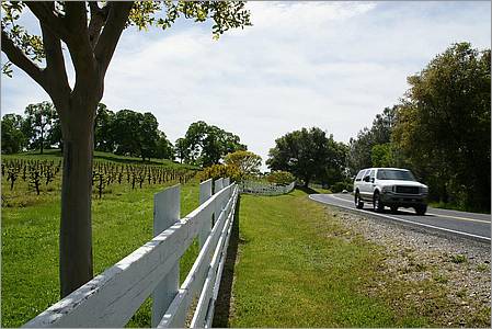 GoldCountry10-117-ShenandoahRdWineries-web.jpg