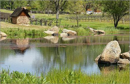 GoldCountry10-124a1-ShenandoahRdWineries-web.jpg