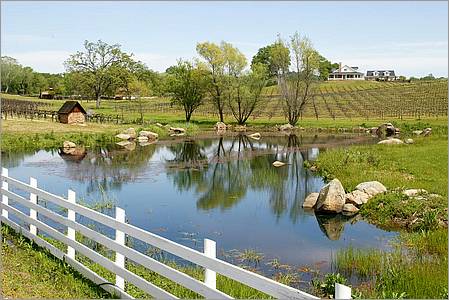 GoldCountry10-129a-ShenandoahRdWineries-web.jpg