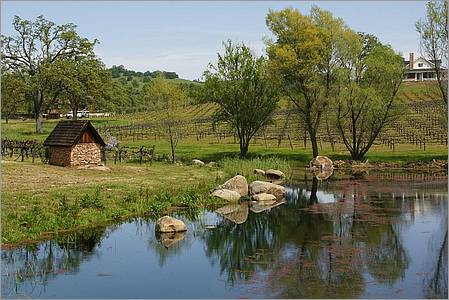 GoldCountry10-131-ShenandoahRdWineries-web.jpg