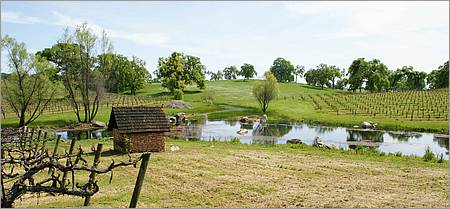 GoldCountry10-138a1-ShenandoahRdWineries-web.jpg