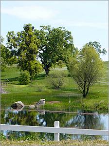 GoldCountry10-143a1-ShenandoahRdWineries-web.jpg