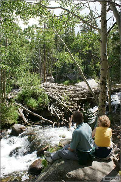 RockyMountainNP08-056c.jpg - for personal use