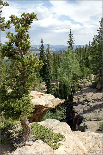 RockyMountainNP08-113c.jpg - for personal use