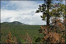 RockyMountainNP08-046b.jpg