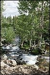 RockyMountainNP08-055c.jpg