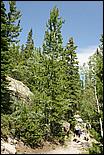 RockyMountainNP08-069b.jpg