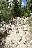 RockyMountainNP08-077c.jpg