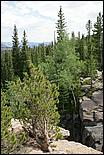 RockyMountainNP08-084b.jpg