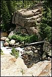 RockyMountainNP08-131b.jpg