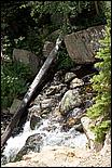 RockyMountainNP08-135c.jpg