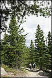 RockyMountainNP08-144b.jpg