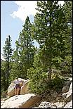 RockyMountainNP08-170c.jpg