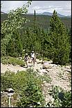 RockyMountainNP08-188c.jpg