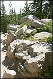 RockyMountainNP08-192c.jpg