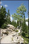 RockyMountainNP08-193c.jpg