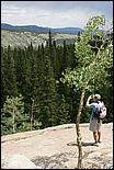 RockyMountainNP08-227b.jpg