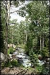 RockyMountainNP08-241c.jpg