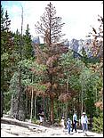 RockyMountainNP08-255b.jpg