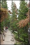 RockyMountainNP08-277b.jpg