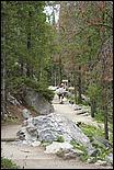 RockyMountainNP08-280b.jpg