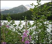 RockyMountainNP08-312d.jpg