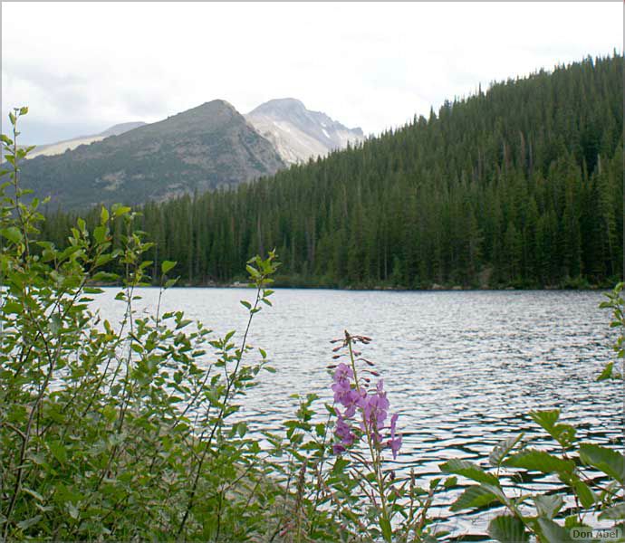 RockyMountainNP08-313d.jpg - for personal use