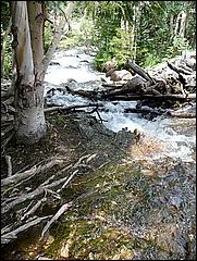 RockyMountainNP08-242c.jpg