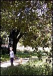 AlmadenDogPark06-076b.jpg