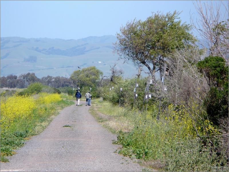 Bike-AlamedaCreekTrail09-240ab.jpg - for personal use