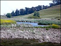 Bike-AlamedaCreekTrail09-102c.jpg