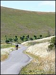 Bike-AlamedaCreekTrail09-108c.jpg