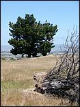 Bike-AlamedaCreekTrail09-161ab.jpg