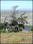 Bike-AlamedaCreekTrail09-165c.jpg