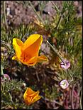 Bike-AlamedaCreekTrail09-187ab.jpg