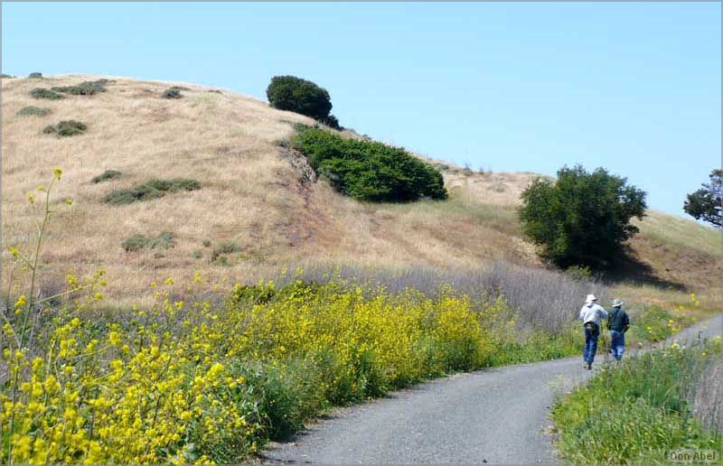 Bike-AlamedaCreekTrail09-225c2.jpg - for personal use