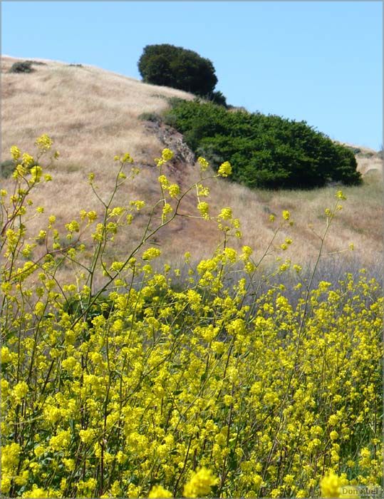 Bike-AlamedaCreekTrail09-227c.jpg - for personal use