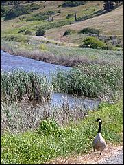 Bike-AlamedaCreekTrail09-235c.jpg