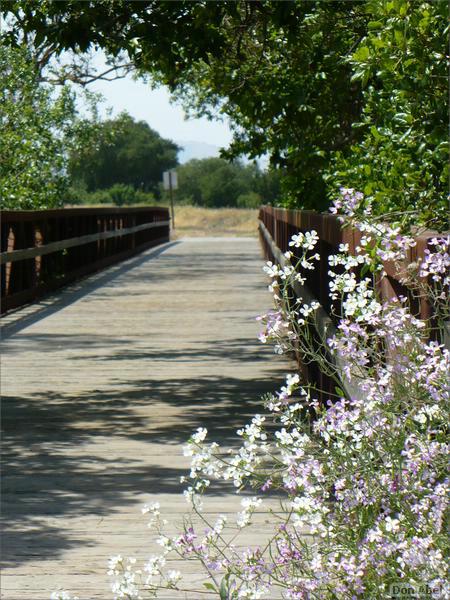 Bike-CoyoteCreekTrail08-130b.jpg - for personal use