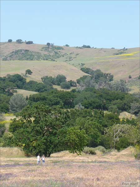 Bike-CoyoteCreekTrail08-138c.jpg - for personal use