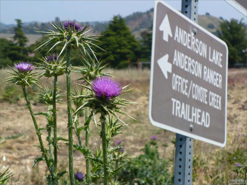 Bike-CoyoteCreekTrail08-123b.jpg - for personal use