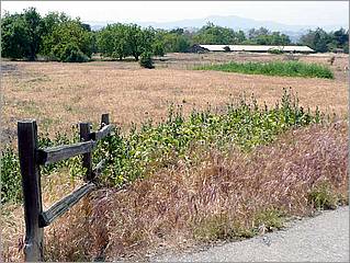 Bike-CoyoteCreekTrail08-098d.jpg