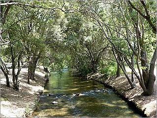 Bike-CoyoteCreekTrail08-116c.jpg