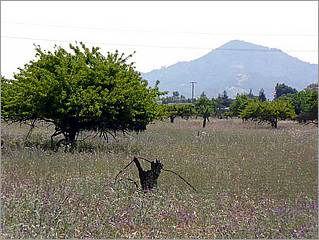 Bike-CoyoteCreekTrail08-127c.jpg