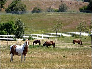 Bike-CoyoteCreekTrail09-041c.jpg