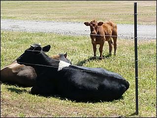 Bike-CoyoteCreekTrail09-045b.jpg