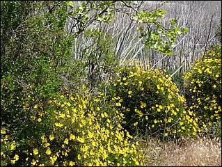 Bike-CoyoteCreekTrail09-058b.jpg