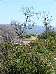 Bike-CoyoteCreekTrail09-059c.jpg