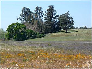 Bike-CoyoteCreekTrail09-064c.jpg